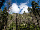 photo thumbnail #9