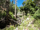 photo thumbnail #10