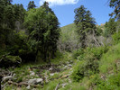 photo thumbnail #11