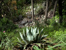 photo thumbnail #12