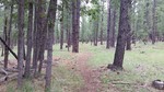 photo thumbnail #8
