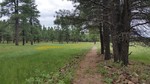 photo thumbnail #11