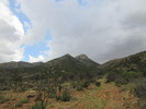 photo thumbnail #13