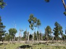photo thumbnail #12