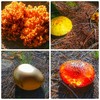 photo thumbnail #4