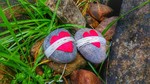 photo thumbnail #3