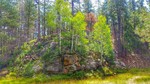 photo thumbnail #5