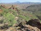 photo thumbnail #9