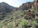 photo thumbnail #11