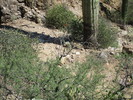 photo thumbnail #13