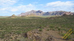 photo thumbnail #6