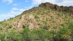 photo thumbnail #10
