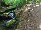 photo thumbnail #9