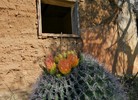photo thumbnail #5