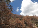 photo thumbnail #9