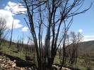 photo thumbnail #10