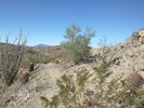 photo thumbnail #1