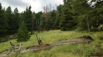 photo thumbnail #2