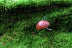 photo thumbnail #8
