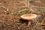 photo thumbnail #13