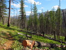 photo thumbnail #2