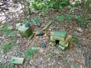 photo thumbnail #3