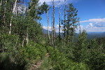 photo thumbnail #3