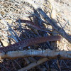 photo thumbnail #1