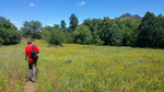 photo thumbnail #1