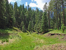 photo thumbnail #11
