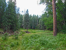 photo thumbnail #12