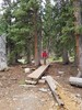 photo thumbnail #5