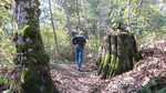 photo thumbnail #1