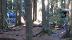 photo thumbnail #12