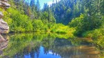 photo thumbnail #5