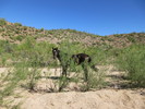 photo thumbnail #7