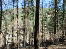photo thumbnail #14