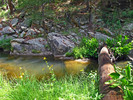 photo thumbnail #9