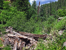 photo thumbnail #15