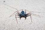 photo thumbnail #4