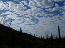 photo thumbnail #3
