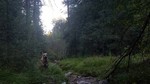 photo thumbnail #6