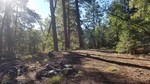 photo thumbnail #7