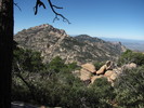 photo thumbnail #7