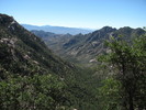 photo thumbnail #8