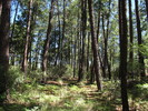 photo thumbnail #14