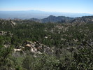 photo thumbnail #15