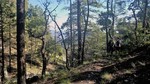 photo thumbnail #2