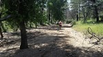 photo thumbnail #14