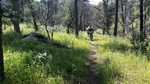 photo thumbnail #15